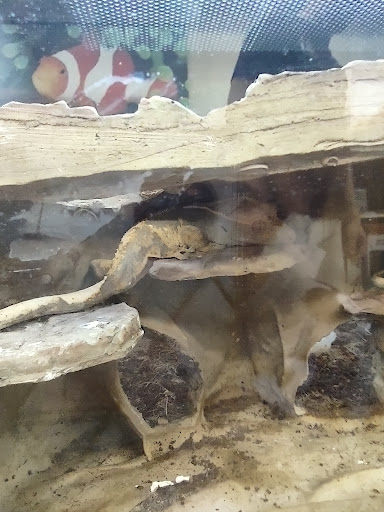 Pet Supply Store «PetSmart», reviews and photos, 1145 W Riverdale Rd, Riverdale, UT 84405, USA