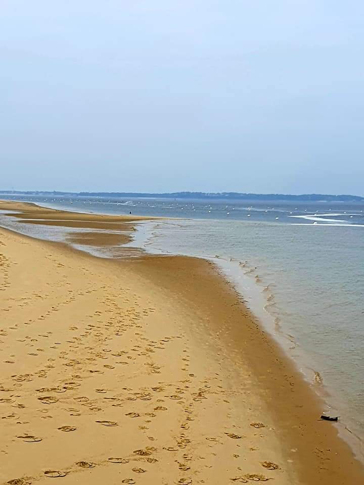 Photo n° 1 de l'avis de Corinne.o fait le 25/03/2021 à 16:18