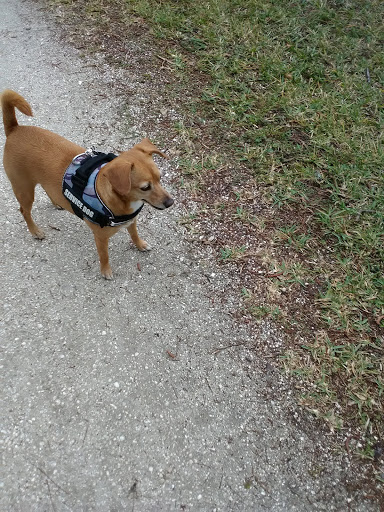 Park «John S. Taylor Park», reviews and photos, 1100 8th Ave SW, Largo, FL 33770, USA