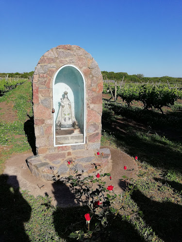 Bodega Familia Irurtia - Museo