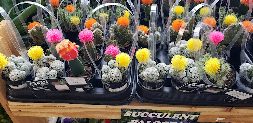 Home Improvement Store «The Home Depot», reviews and photos, 10 Gateway Blvd, Patchogue, NY 11772, USA