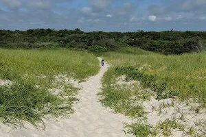 Island Beach State Park image