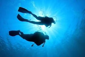 Le Cavallette Diving image