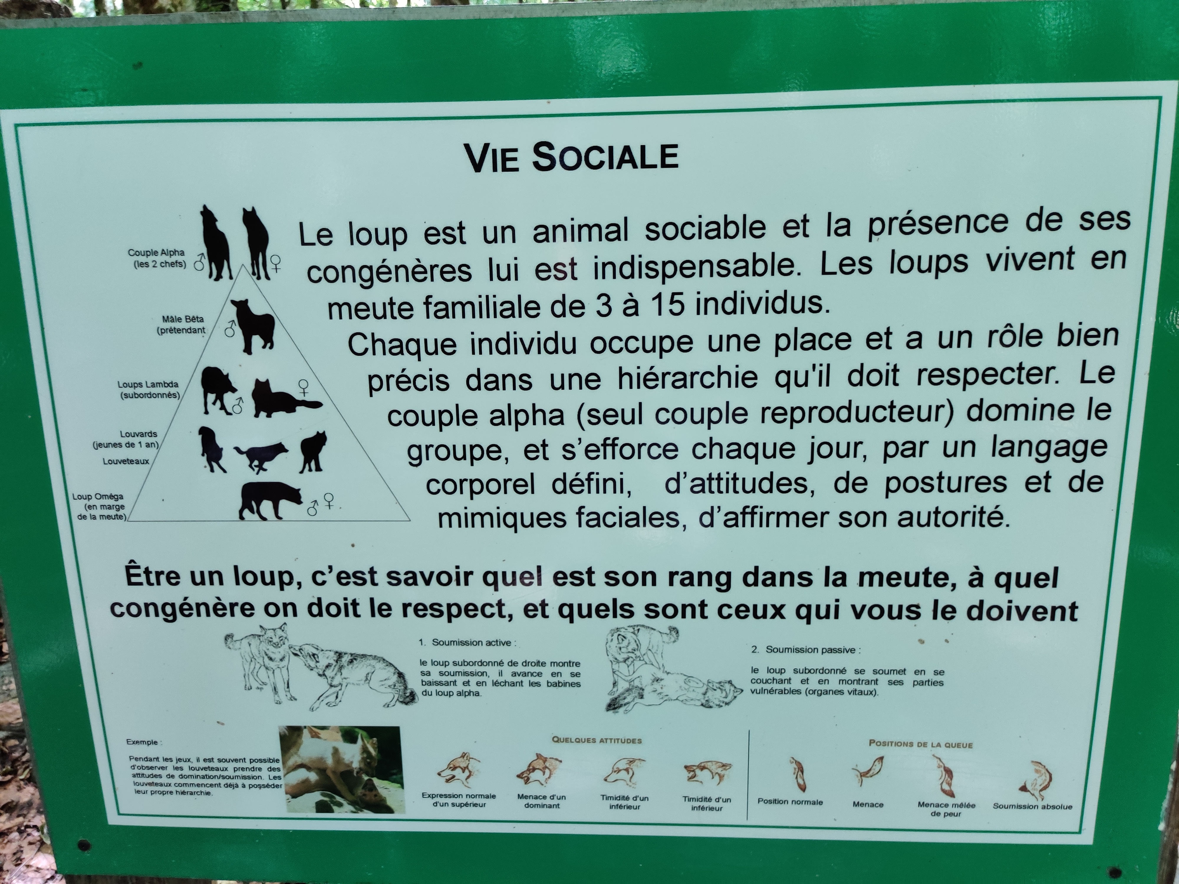 Photo n° 16 de l'avis de Julien.o fait le 14/08/2022 à 13:43