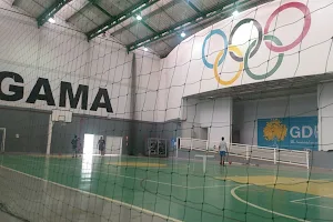Olympic and Paralympic Center of Gama image