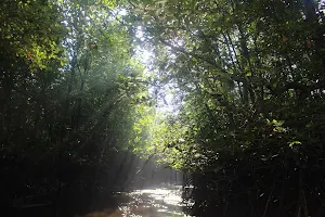 Mangrove Munjang Kurau Barat image