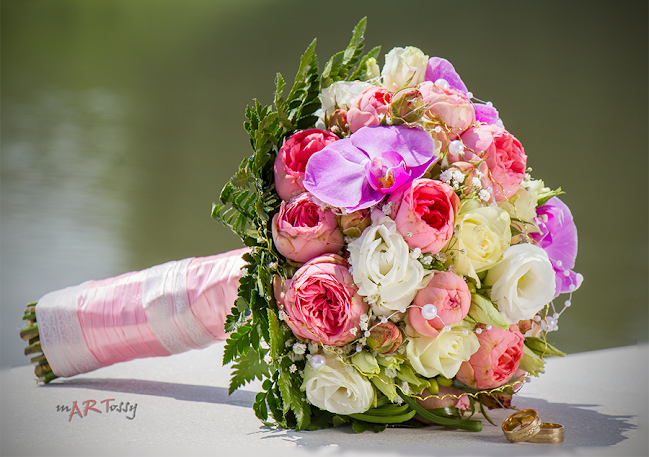 Comentarii opinii despre Martossy Lajos fotós