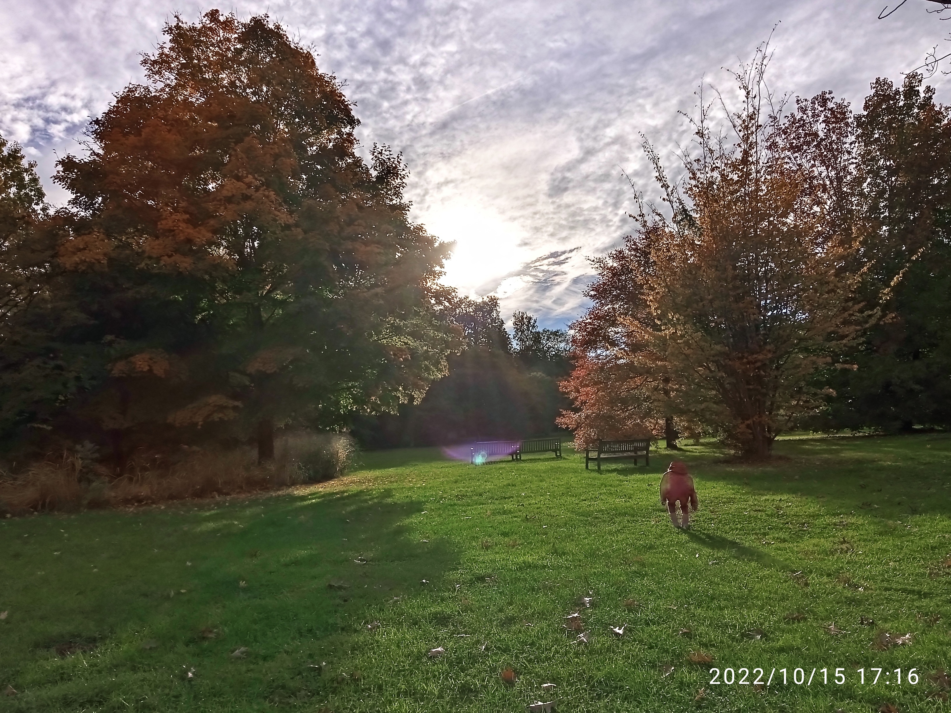 Photo n° 1 de l'avis de Elodie.o fait le 06/12/2022 à 21:20