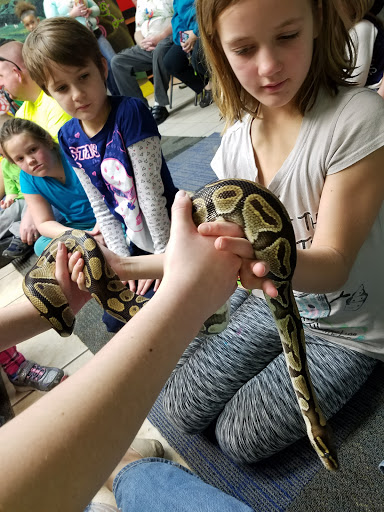Pet Store «Tye-Dyed Iguana - Reptiles», reviews and photos, 1905 W U.S. 50, Fairview Heights, IL 62208, USA