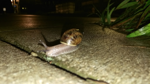 Pet Supply Store «Sellwood Pet Supply», reviews and photos, 8334 SE 17th Ave, Portland, OR 97202, USA