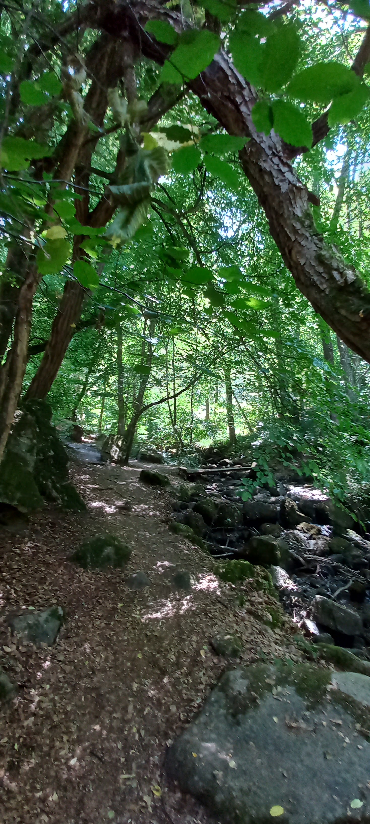 Photo n° 30 de l'avis de Françoise.o fait le 06/08/2022 à 20:53