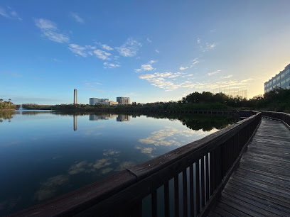 Carillon Conservation Pond Trail