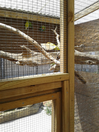 Pet Store «Fish-N-Pets Unlimited», reviews and photos, 11710 Bissonnet St, Houston, TX 77099, USA