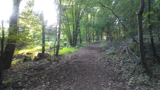 Tourist Attraction «Wheaton Miniature Train», reviews and photos, 2002 Shorefield Rd, Wheaton, MD 20902, USA