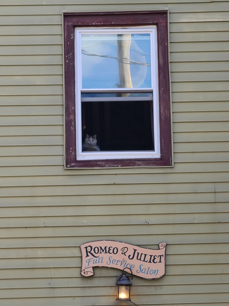 Romeo & Juliet 10516