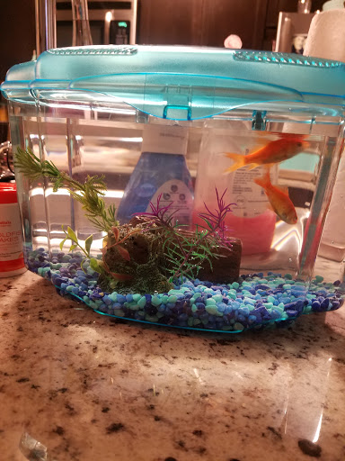 Pet Supply Store «Pet Valu», reviews and photos, 1308 Main Chapel Way, Gambrills, MD 21054, USA