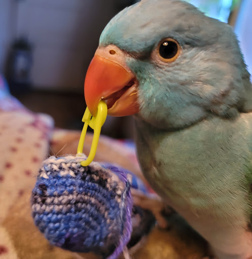 Pet Store «Pet Paradise Grooming», reviews and photos, 1115 Pueblo Blvd Way, Pueblo, CO 81005, USA