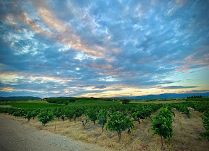 Photo n°64 de Ô tour de la table à Nébian ()