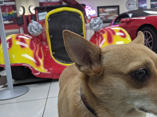 Museum «Martin Auto Museum», reviews and photos, 17641 N Black Canyon Hwy, Phoenix, AZ 85023, USA