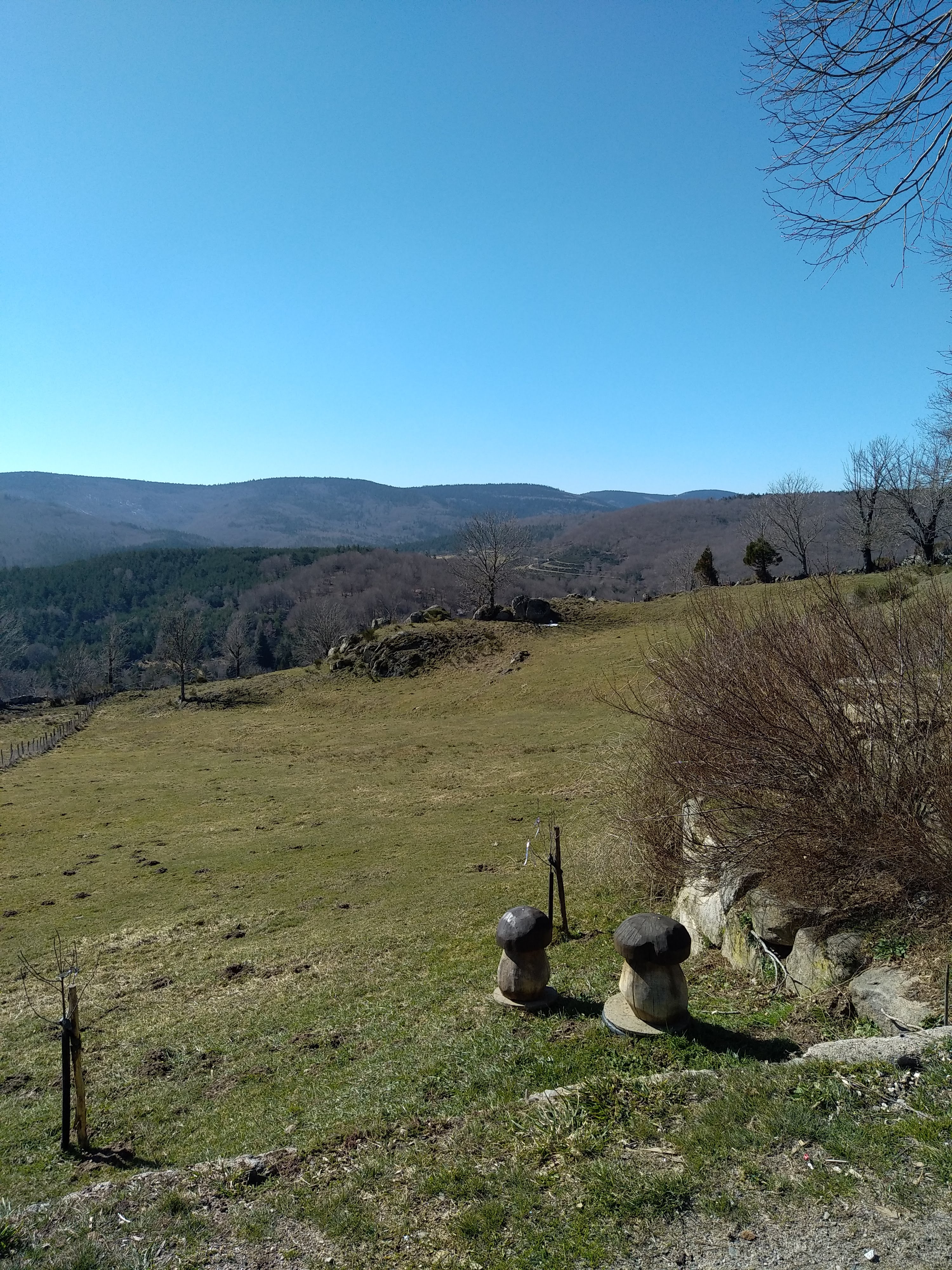 Photo n° 24 de l'avis de Julien.a fait le 05/03/2023 à 15:22