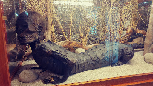 Museum «World Kite Museum & Hall-Fame», reviews and photos, 303 Sid Snyder Dr, Long Beach, WA 98631, USA