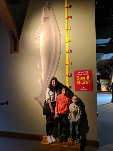 Country Club «Sahalee Country Club», reviews and photos, 21200 NE Sahalee Country Club Dr, Sammamish, WA 98074, USA