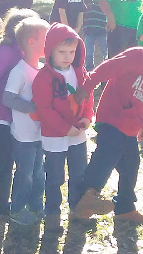 Tourist Attraction «Sugar Hill U-pick Farms», reviews and photos, 3595 Co Rd 59, Verbena, AL 36091, USA