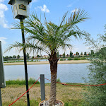 Photo n°5 de l'avis de N... fait le 13/07/2020 à 14:21 sur le  Zur Rheinfähre Nordheim à Biblis