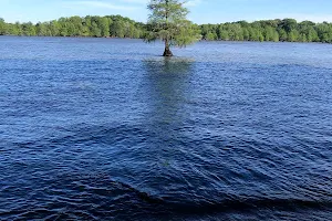 Indian Bluff Recreation Park image