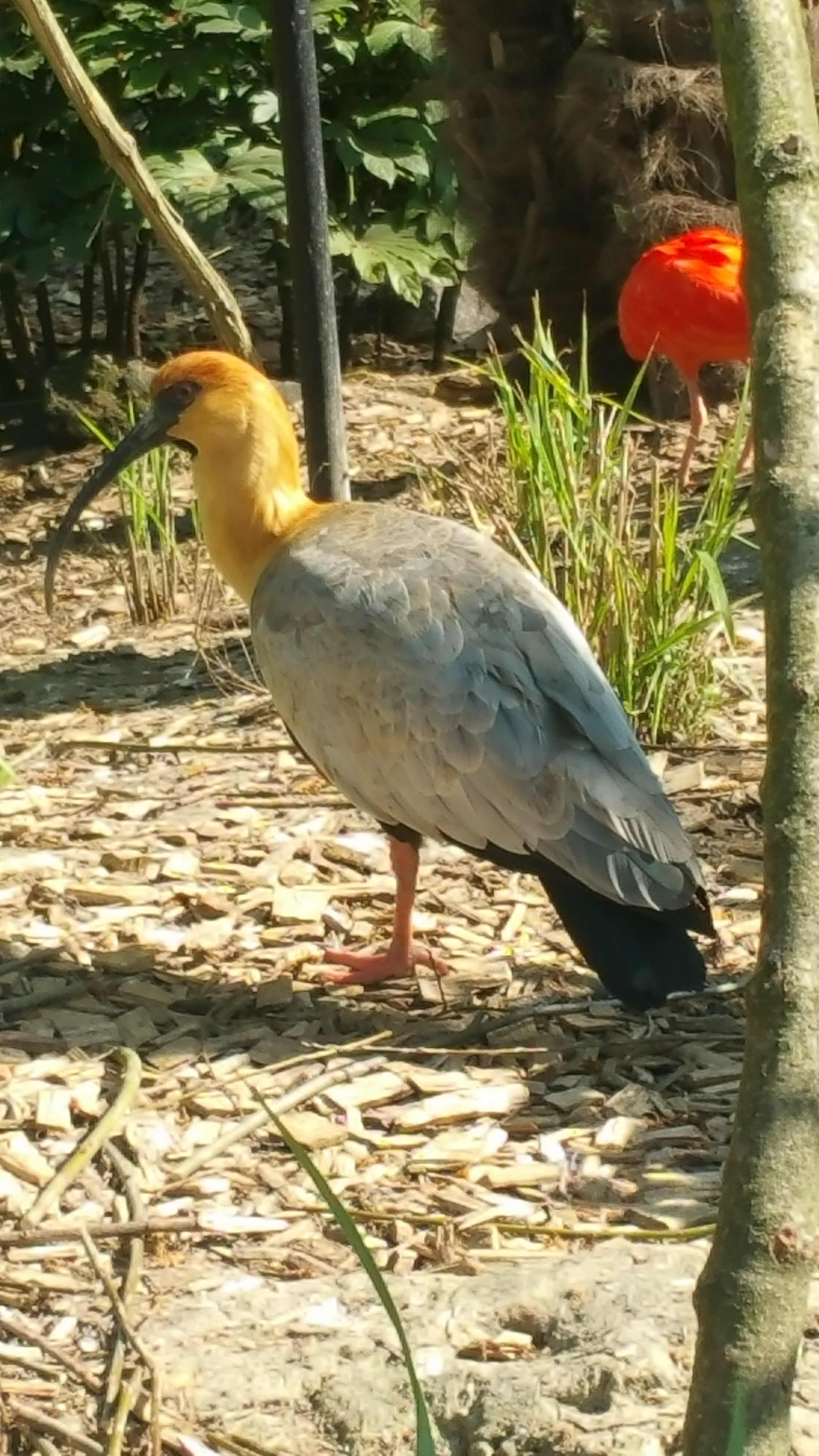 Photo n° 10 de l'avis de Arti.h fait le 19/04/2019 à 13:02