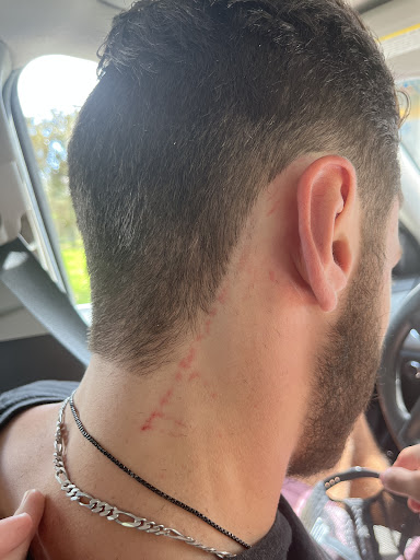 Barber Shop «All-Star Clips Barbershop», reviews and photos, 2399 US-27, Clermont, FL 34711, USA