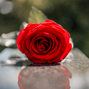 Funeral Home «George G Fitzpatrick Funeral», reviews and photos, 1500 Old York Rd, Abington, PA 19001, USA