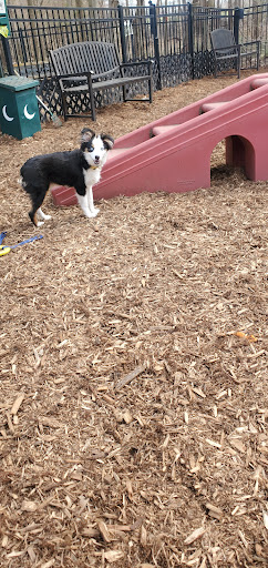 Pet Supply Store «The Hungry Puppy», reviews and photos, 1288 NJ-33, Farmingdale, NJ 07727, USA