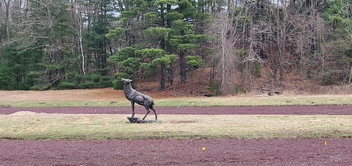 Nature Preserve «The Nature Trail and Cranberry Bog», reviews and photos, 252 Patriot Pl, Foxborough, MA 02035, USA