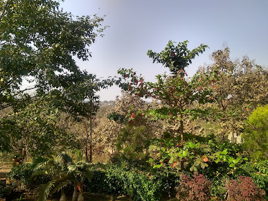 Google Maps image 26