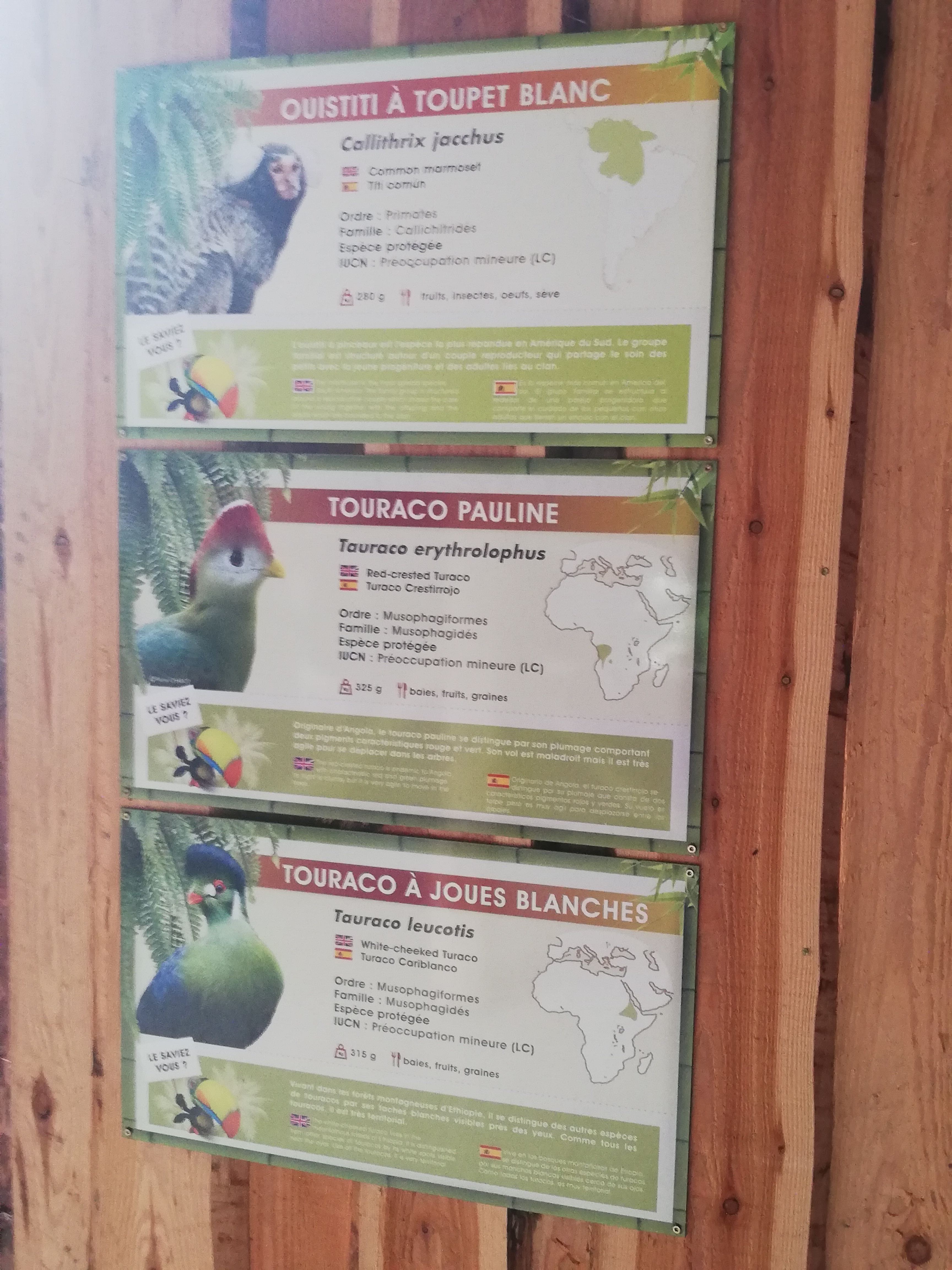 Photo n° 13 de l'avis de Soleil. fait le 20/08/2020 à 12:36