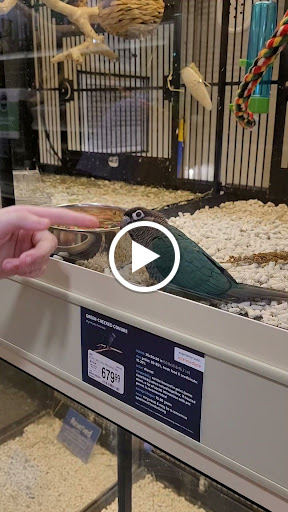 Pet Supply Store «PetSmart», reviews and photos, 860 Cobb Pl Blvd NW, Kennesaw, GA 30144, USA