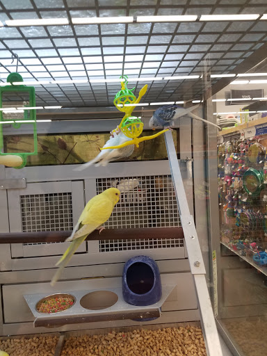 Pet Store «PetSmart», reviews and photos, 14903 4th Ave SW Ste 200, Burien, WA 98166, USA