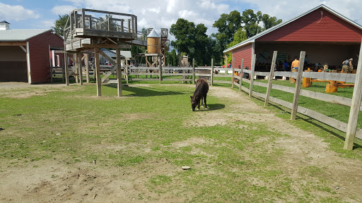 Orchard «Barton Orchards - Noxon Road Store Open Year Round - The Farm is CLOSED for the Season.», reviews and photos, 63 Apple Tree Ln, Poughquag, NY 12570, USA