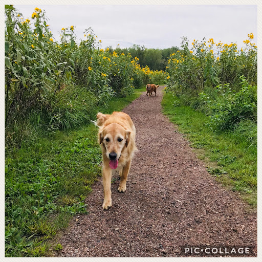 Real Estate Agency «Maloney Real Estate», reviews and photos, 108 E Main St, Vermillion, SD 57069, USA