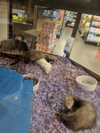 Pet Supply Store «Petco Animal Supplies», reviews and photos, 2824 Long Beach Rd, Oceanside, NY 11572, USA