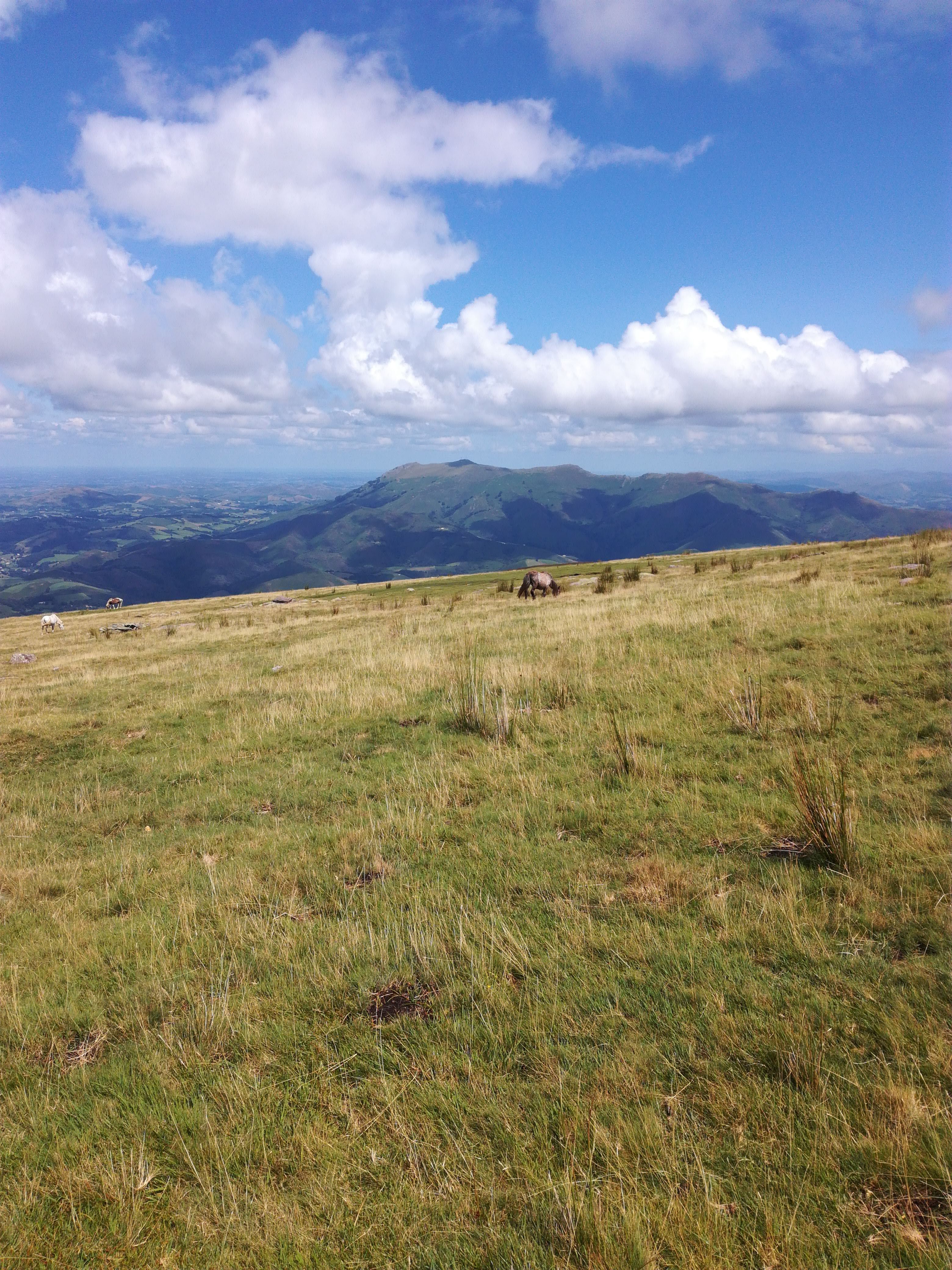 Photo n° 1 de l'avis de Ralph.e fait le 12/08/2019 à 11:58