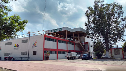 Estadio de Béisbol Francisco Villa