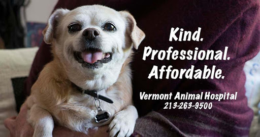 Vermont Animal Hospital