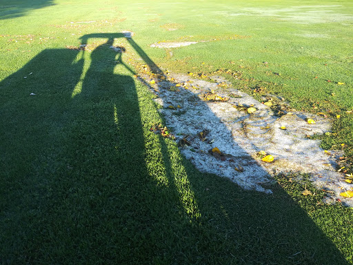 Golf Course «Prescott Country Club», reviews and photos, 1030 Prescott Country Club Blvd, Dewey, AZ 86327, USA