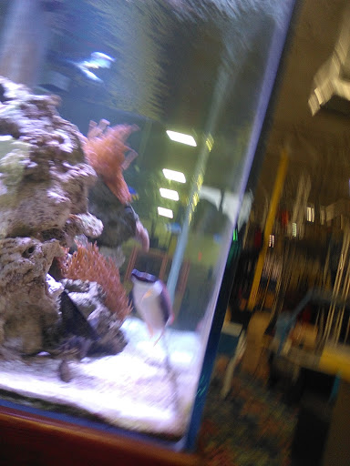 Recreation Center «Planet Air Sports», reviews and photos, 1401 Green Rd, Pompano Beach, FL 33064, USA