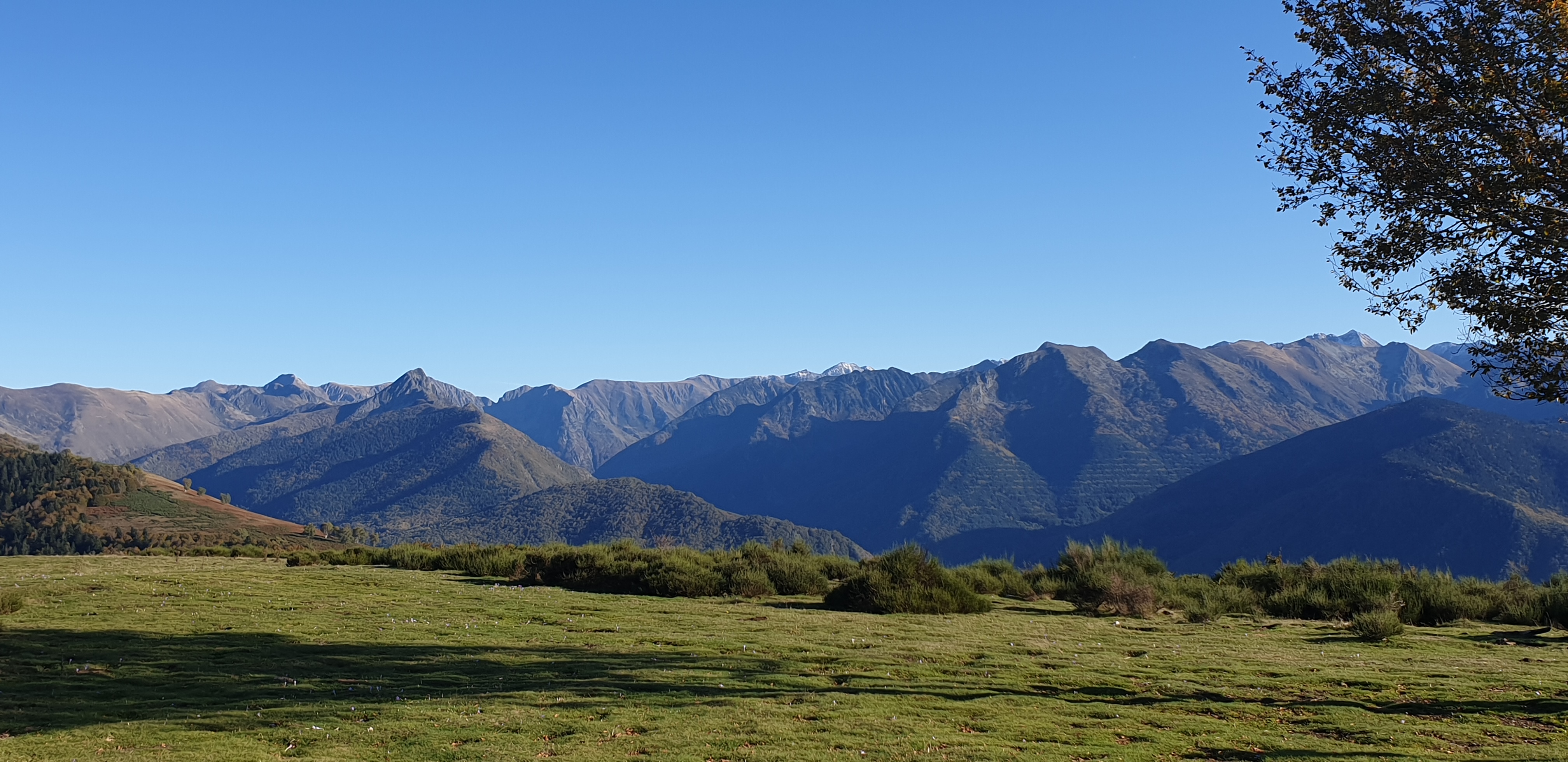 Photo n° 18 de l'avis de Jul. fait le 03/12/2019 à 22:53