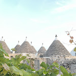 Photo n°2 de l'avis de Michael.a fait le 02/07/2022 à 07:04 sur le  Orto Ristorante Naturale à Monopoli