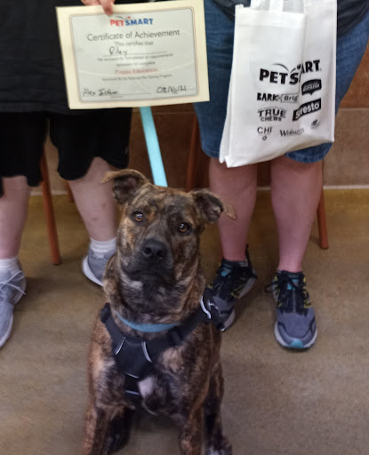 Pet Supply Store «PetSmart», reviews and photos, 476 Corwin Nixon Blvd, South Lebanon, OH 45065, USA