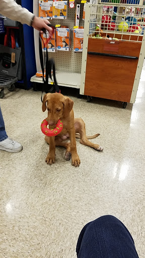 Pet Supply Store «PetSmart», reviews and photos, 45 Park Pl Dr, Covington, LA 70433, USA